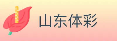 山东体彩 Logo